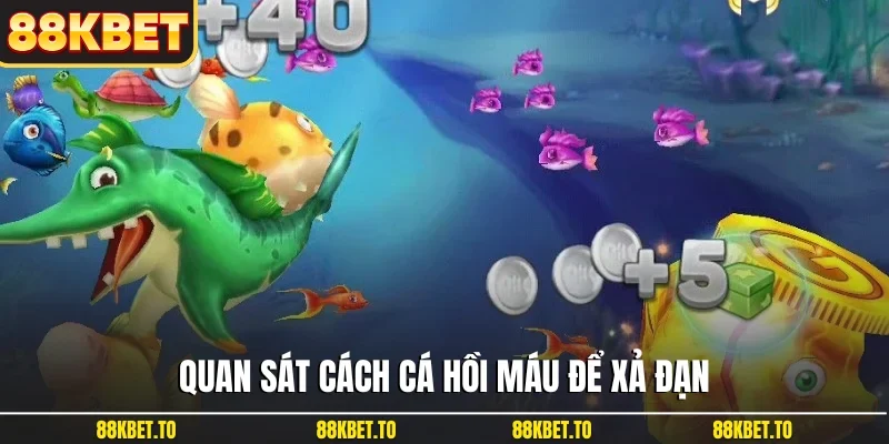 Quan sát cách cá hồi máu để xả đạn